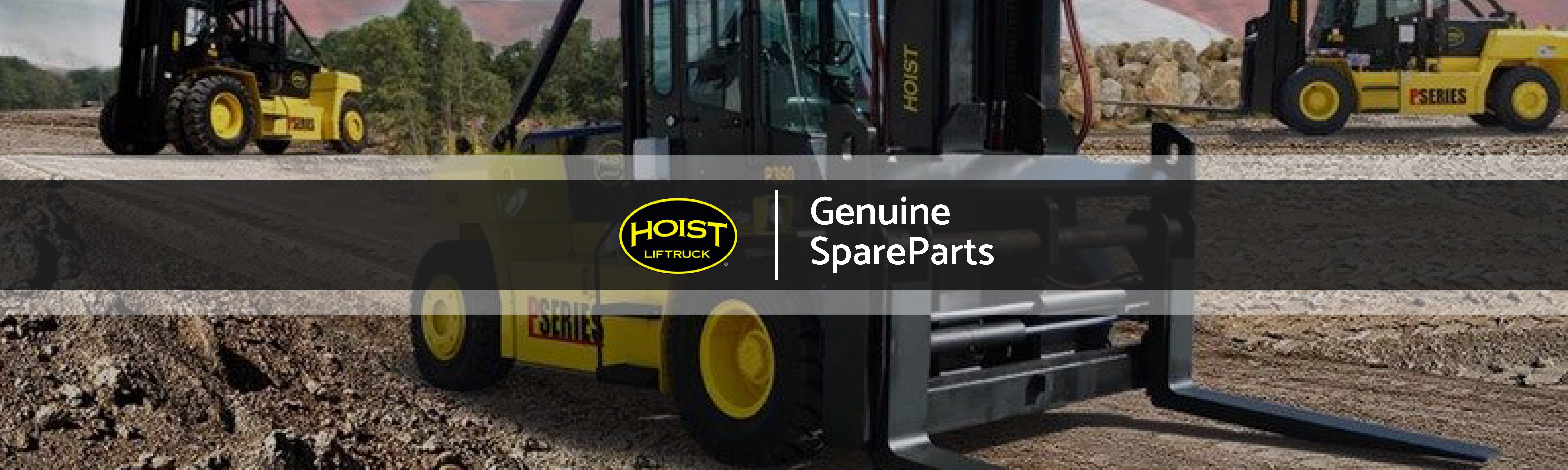 Genuine Hoist Material Handling Equipment Supplier In Dubai - UAE